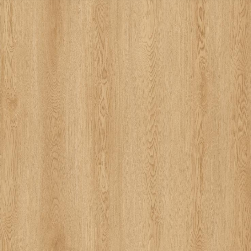 wood texture of WCC Floor